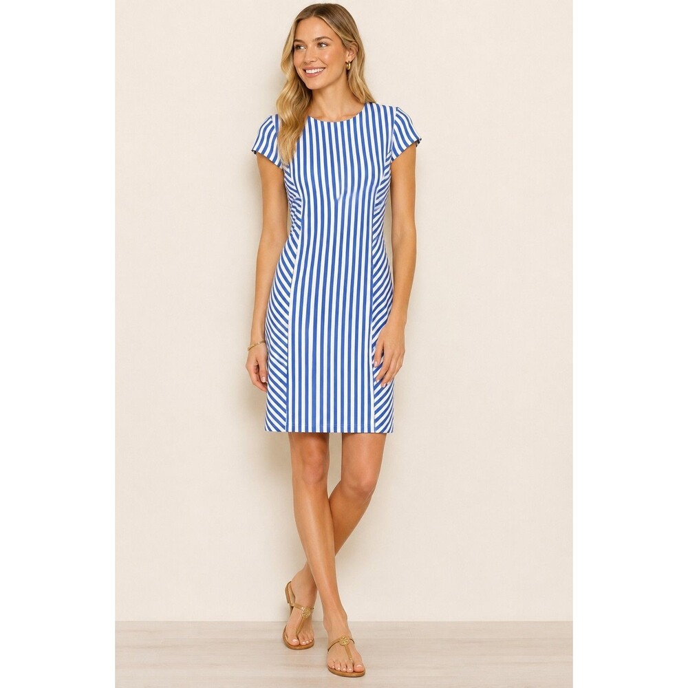 J. McLaughlin Helena Dress Size M Blue White Stripe Catalina Cloth Shift Coastal